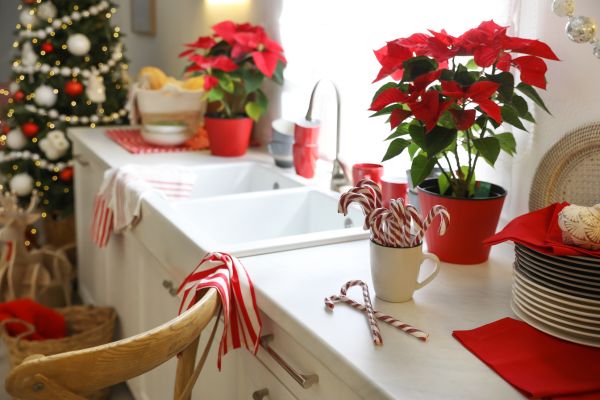 2024 Trending Kitchen Holiday Hosting Tips